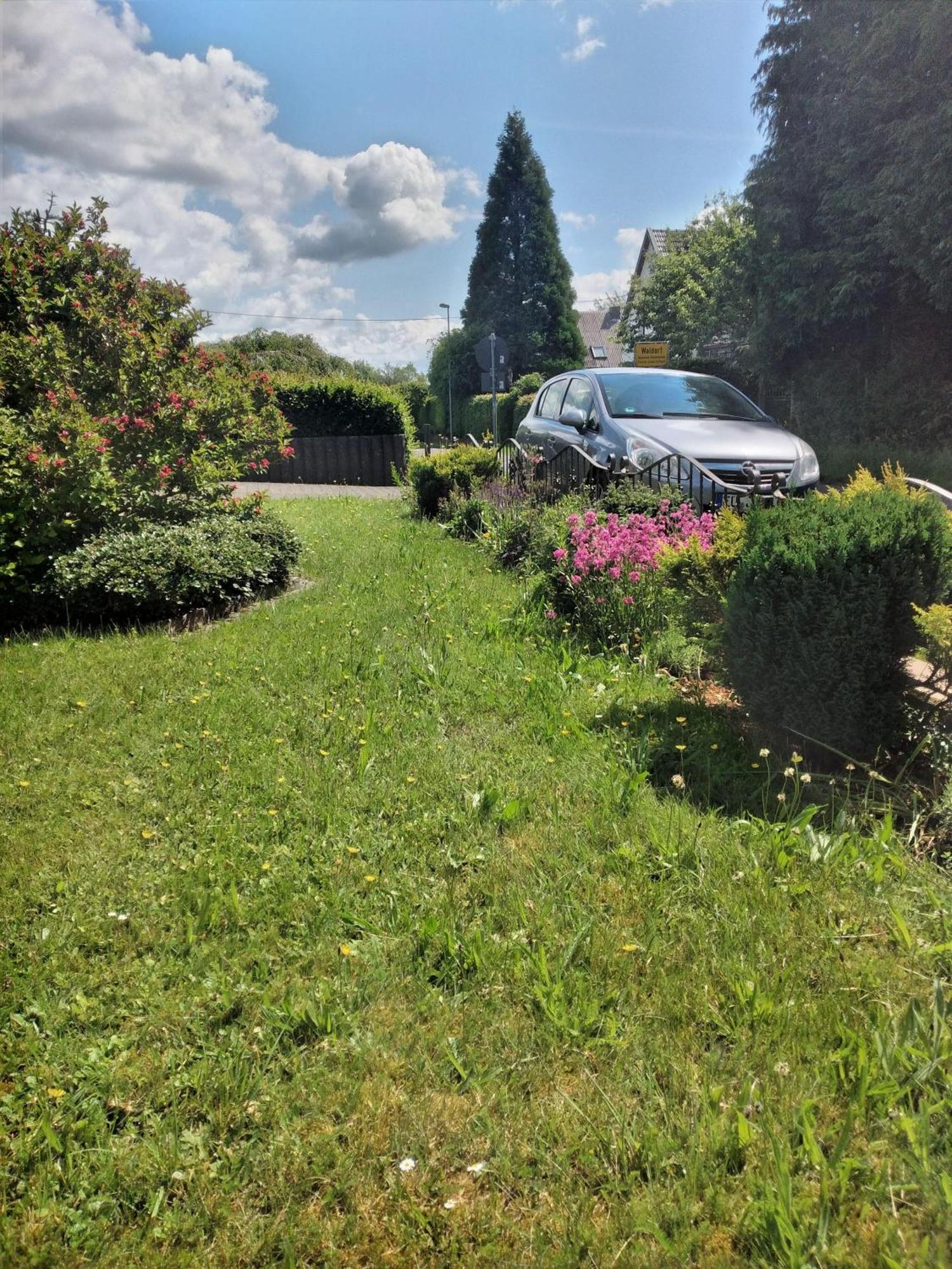 Ferienwohnung-Freuen Blankenheim  Exteriör bild